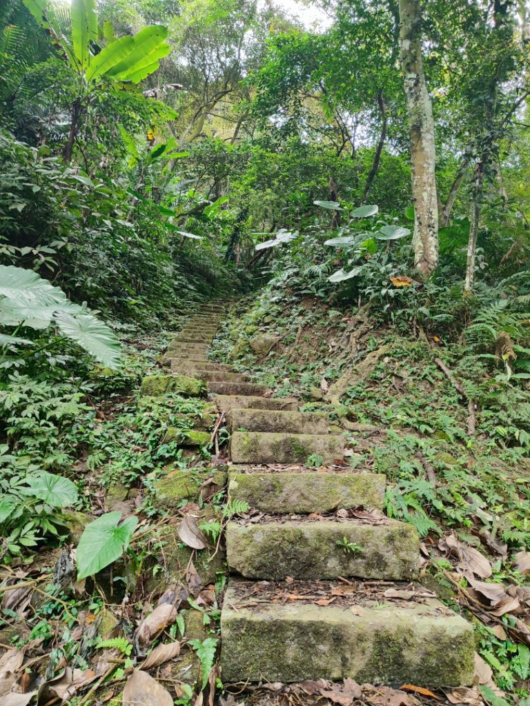 九讚頭車站-大崎棟.茶亭.逃學.騎龍古道20幾K繞大O_2972502