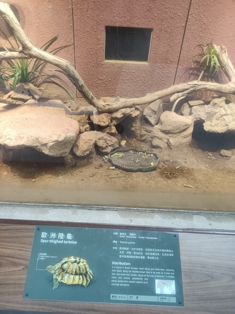 台北動物園_2663985