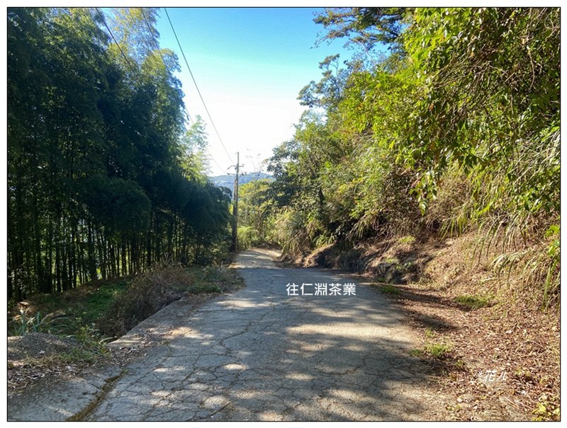 嶺頭山、金柑樹山、忘憂森林 O型一圈_2944747