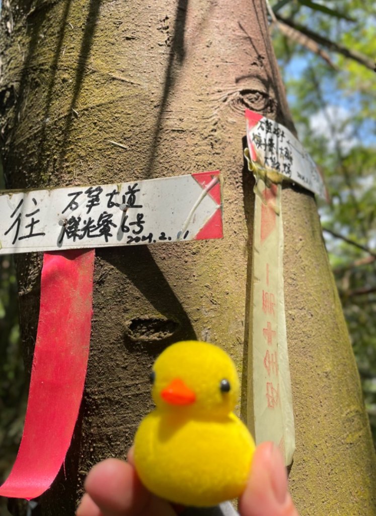 雙溪-四柑-後番子坑古道-土地公-上下內平林-大平林山-石笋-焿子寮古道-猴硐-金瓜石大小粗坑古道_2767427