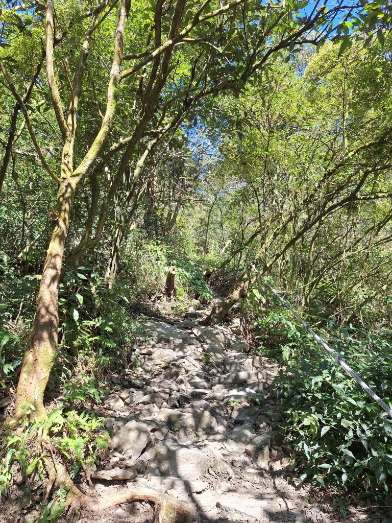 日湯真山20260104_2978562