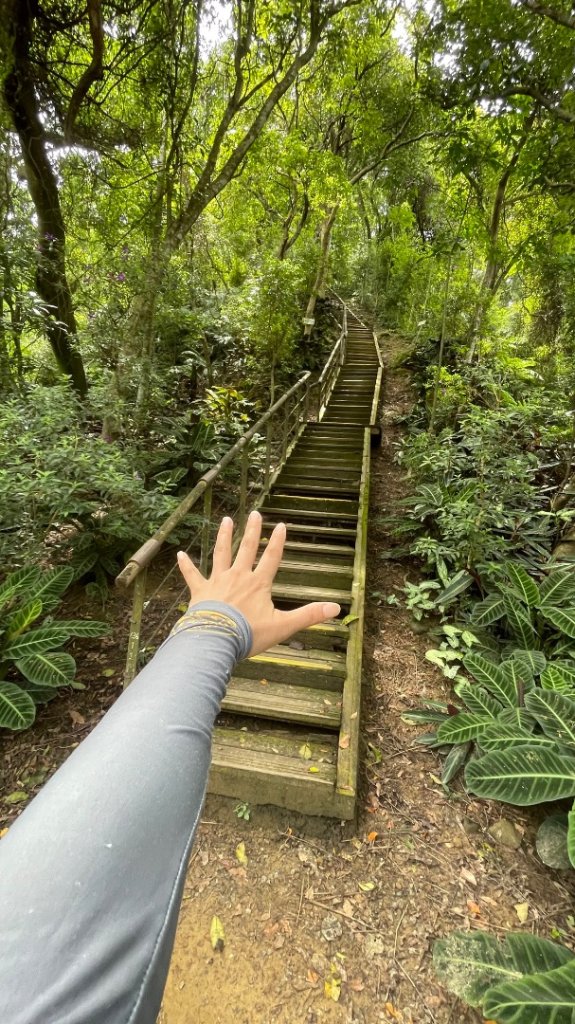 和小盆友們爬山的快樂時光❤️小獅山-和美山_2853984