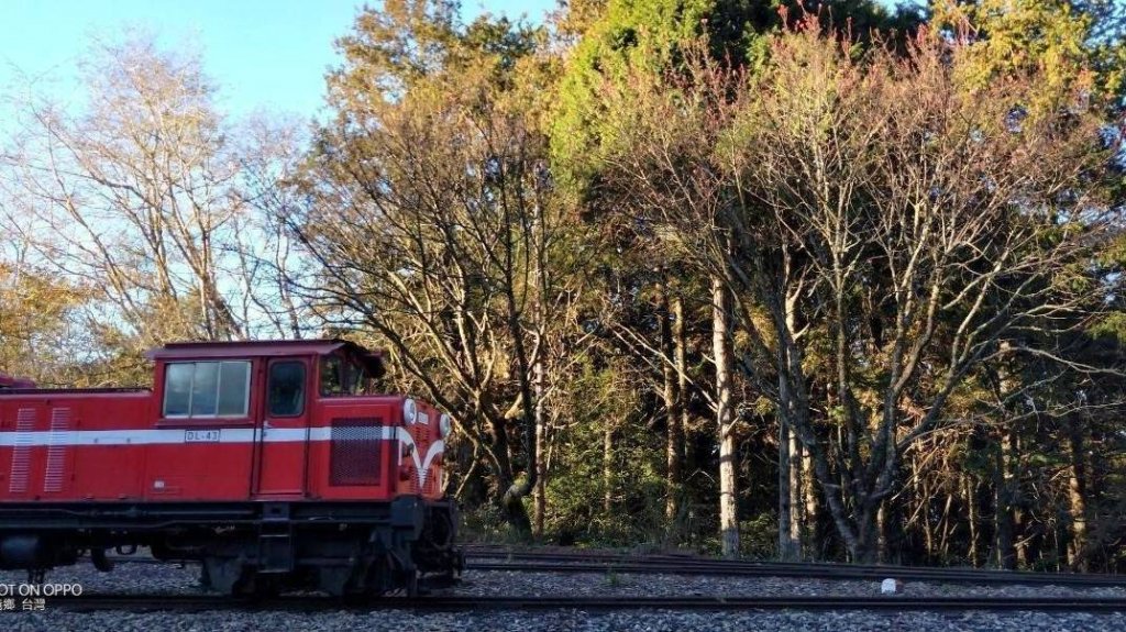 祝山車站 祝山一字型觀景台 阿里山日出_710796