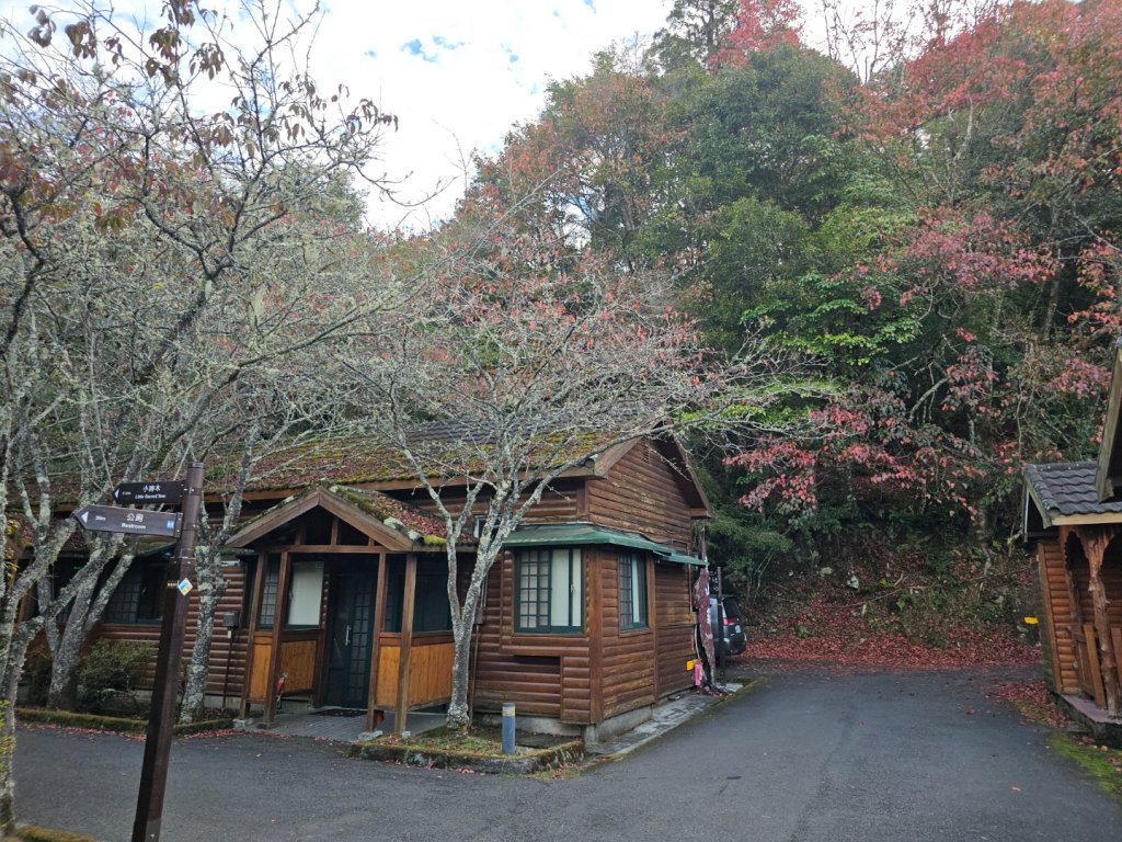 大雪山森林遊樂區森林浴步道_2966005
