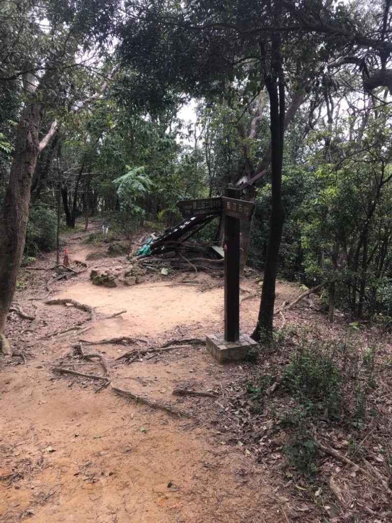 金面山、剪刀石108=0404_565908