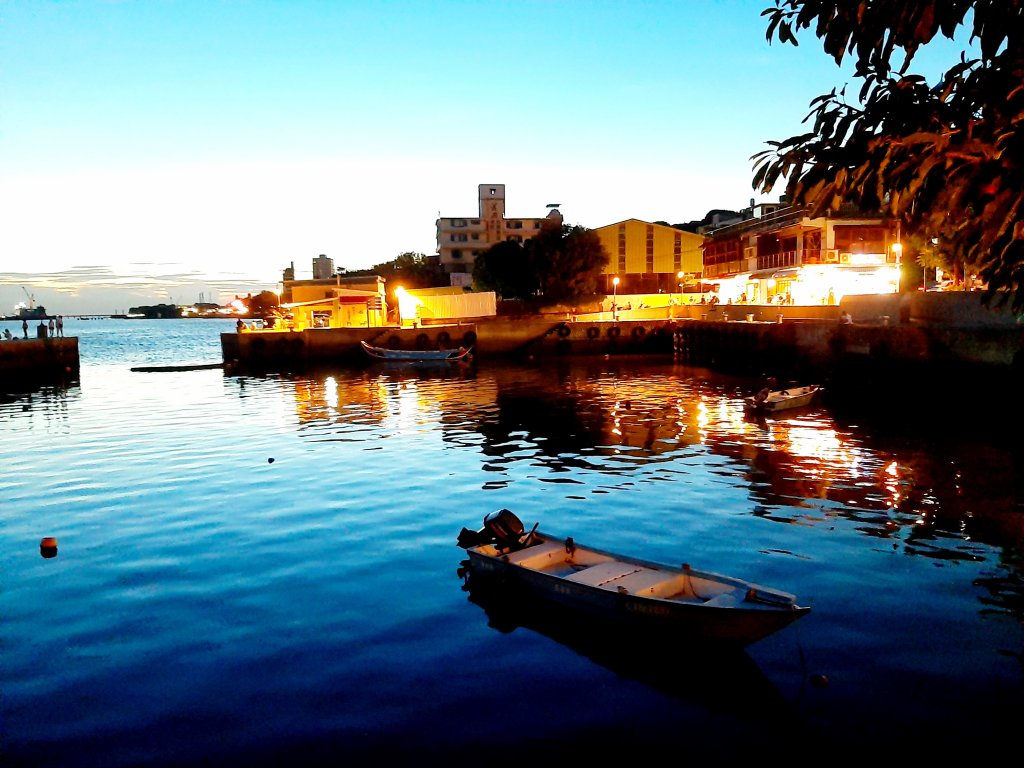 臺北趴趴走｜文山森林、台大、林森、淡水、大安森林、象山_2238361