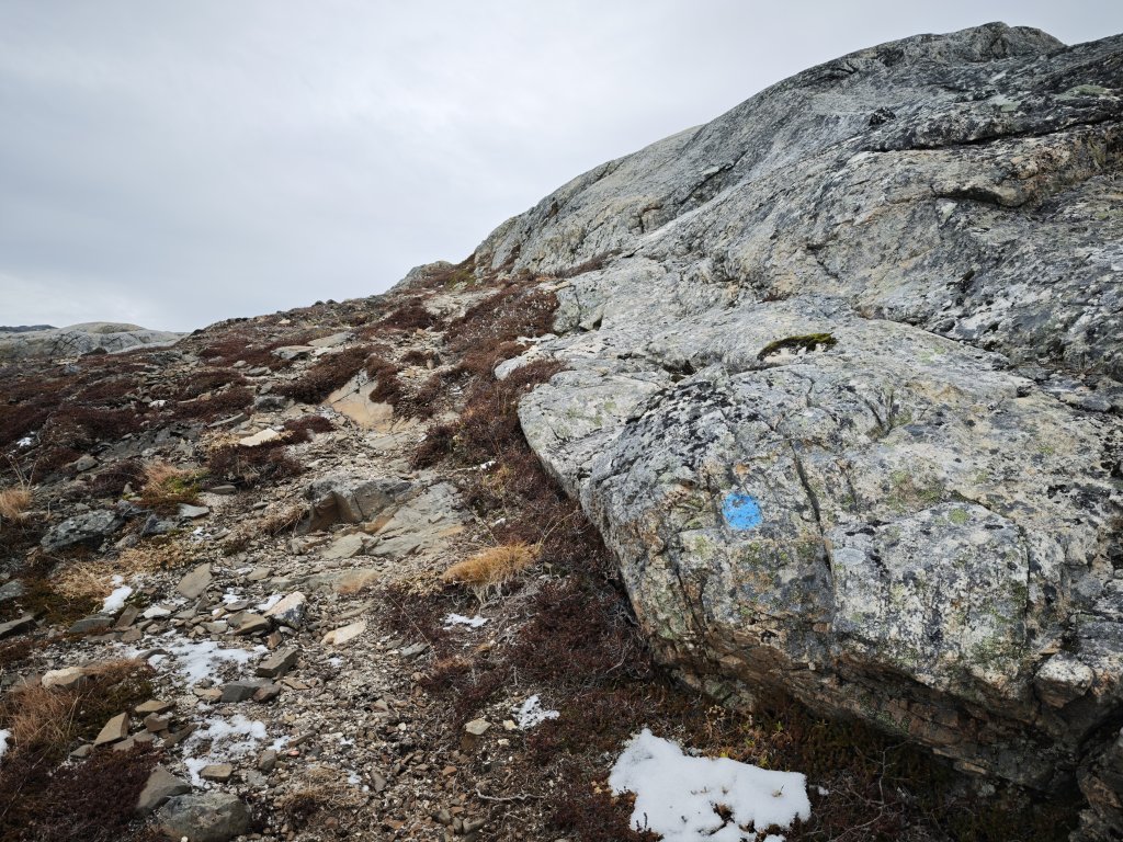 [紐約馬之行-44] 2025_1108 努克環狀步道 1/5_2951137