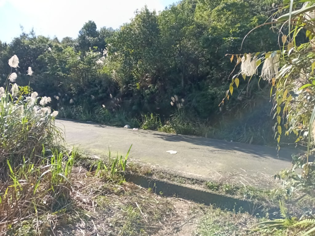 基隆市/萬里區界寮縱走之三界山+三界山西峰+開眼尖山+七分寮山+瑪七產道山泉水接水亭_2979608