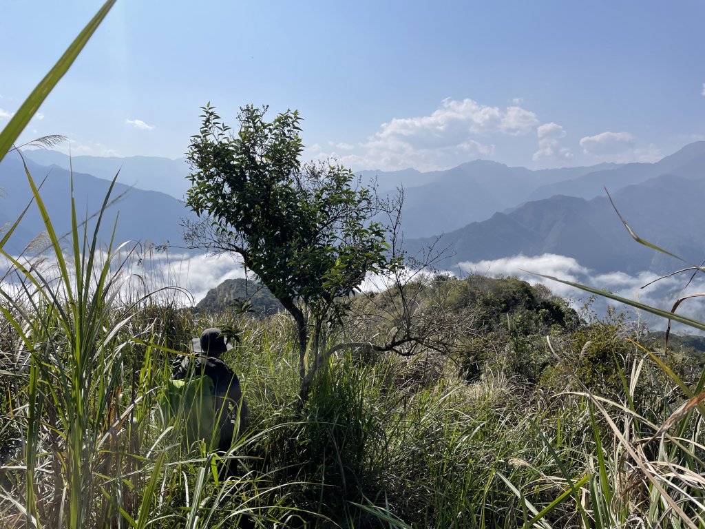 迴頭彎上鍛鍊山海鼠山O型縱走(下)_1312465