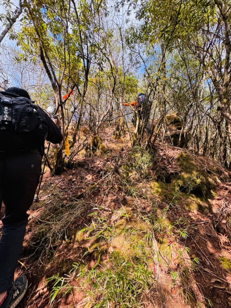 特富野古道>東水西峰>東水山>玉兒山>特富野古道（逆O)_2743760
