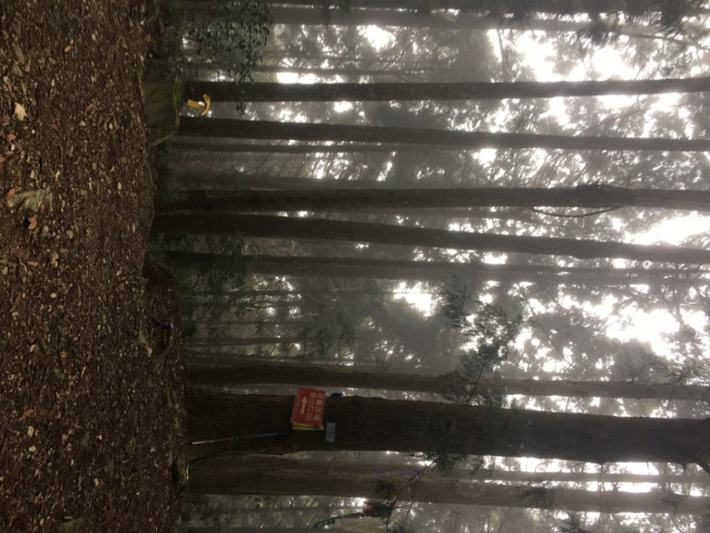 麥巴來山_2380935