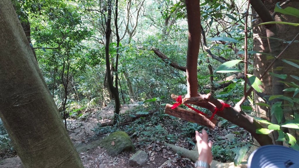 天母古道（松溪）磺溪翠峰瀑布_2106719