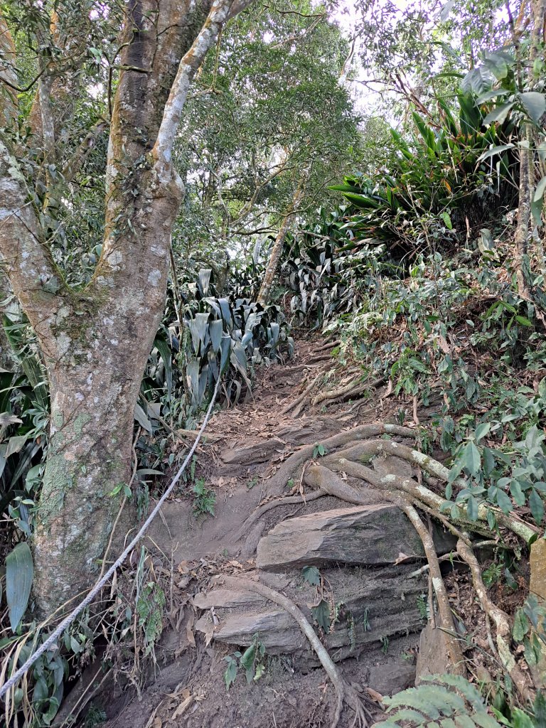 鱈葉根山+真笠山+白賓山縱走(救援中繼站起登)20230227_2046008