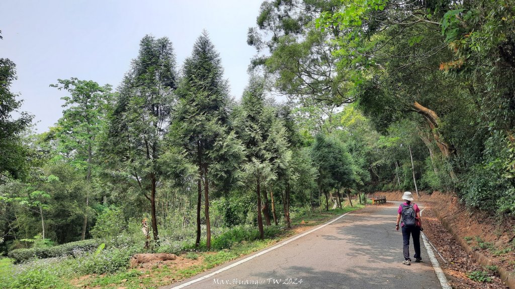 《苗栗》茶園古道｜三義登三義山慈濟山（三通嶺啟登）20240405_2472186