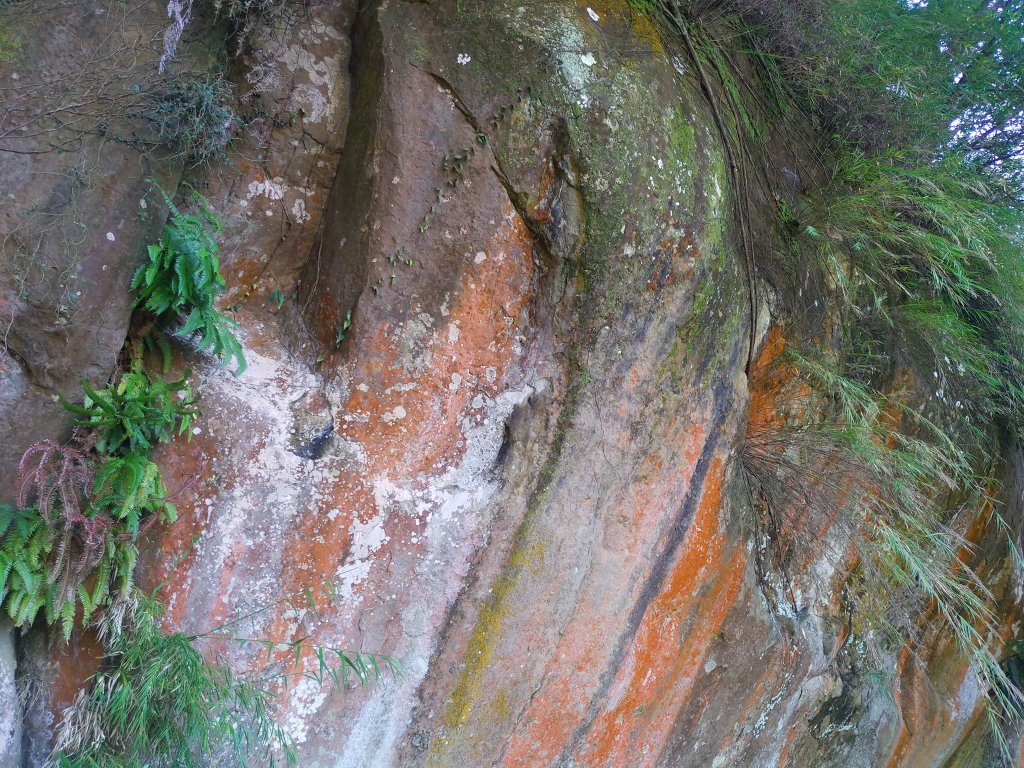 鳶山 彩壁_1661046