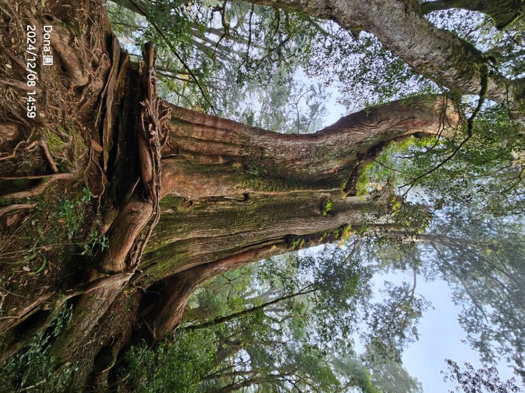 追趕跑跳蹦的羅馬縱走_2666242