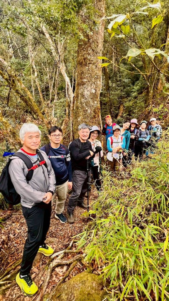 🌈1/18（日）忘憂森林×金柑樹山×溪頭天文台✨FB：熊熊趴爬走🌈_2983970