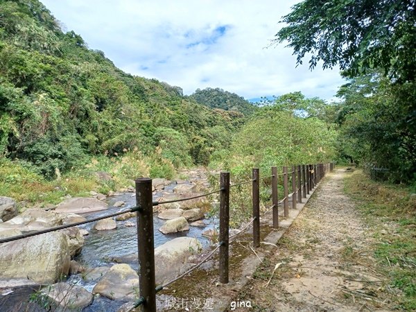 【苗栗南庄】沿途潺潺溪水聲。 蓬萊溪護魚步道_2688919