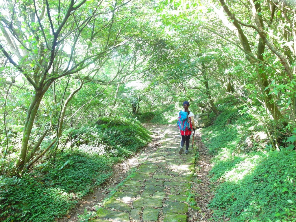 二子坪 面天山 向天山步道 大屯山西峰封面圖