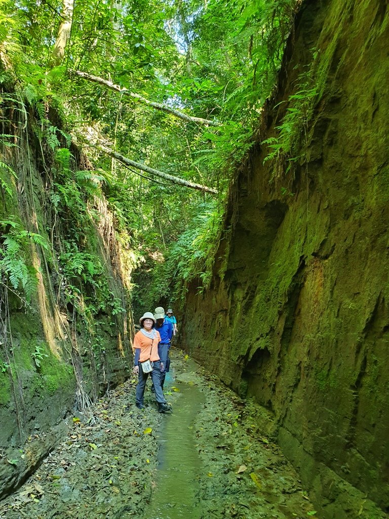 【苗栗】龍王峽谷秘境_1777852