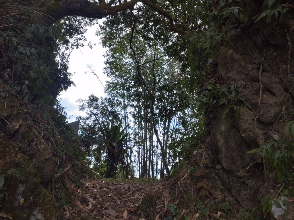 嘉義大埔永樂村「大岩壁」_2411674