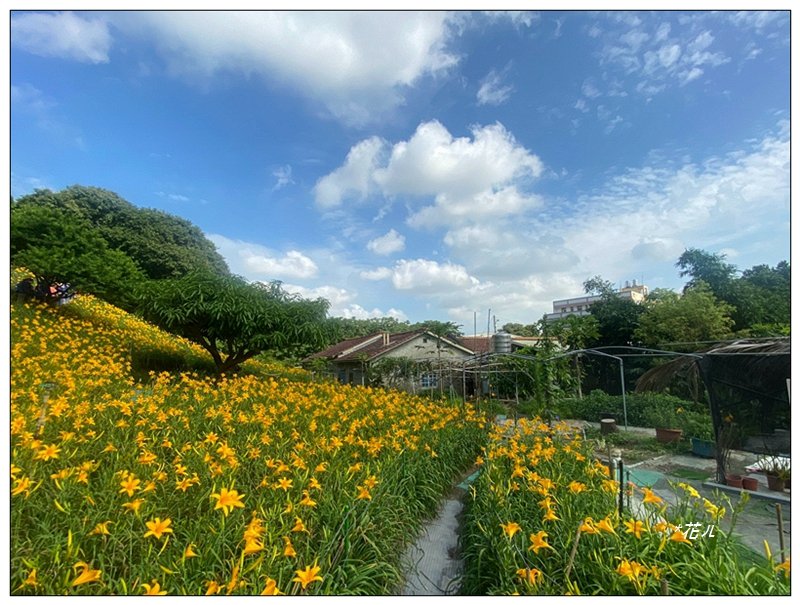 花壇、虎山巖步道_3064347