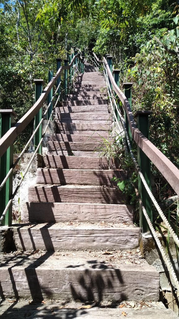 2019.9.29後尖山步道之旅_1411239