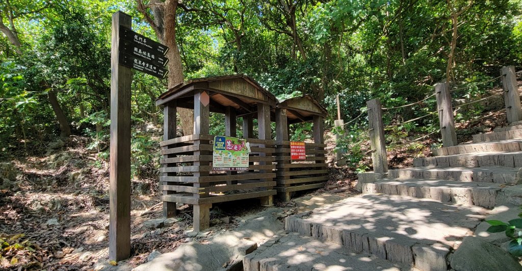 柴山登山步道封面圖