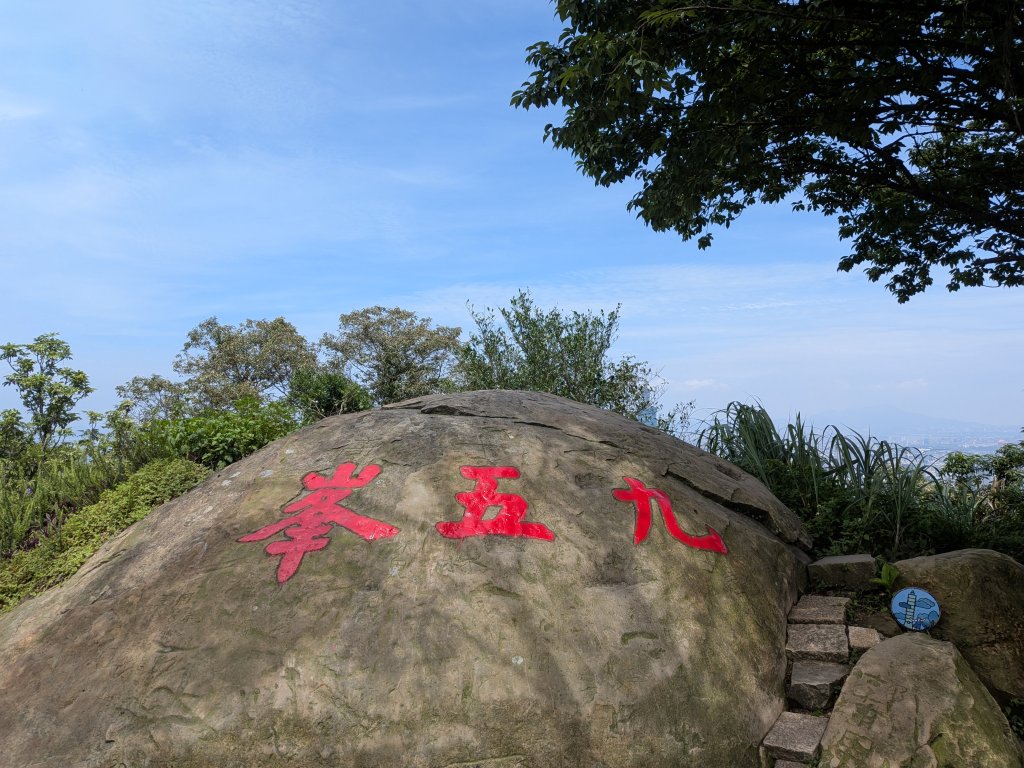 2025-06-01 五進五出九五峰封面圖