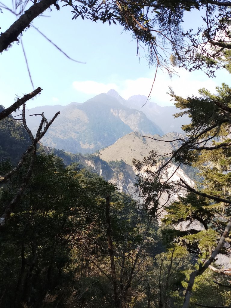 東埔-八通關古道-塔塔加_1431574