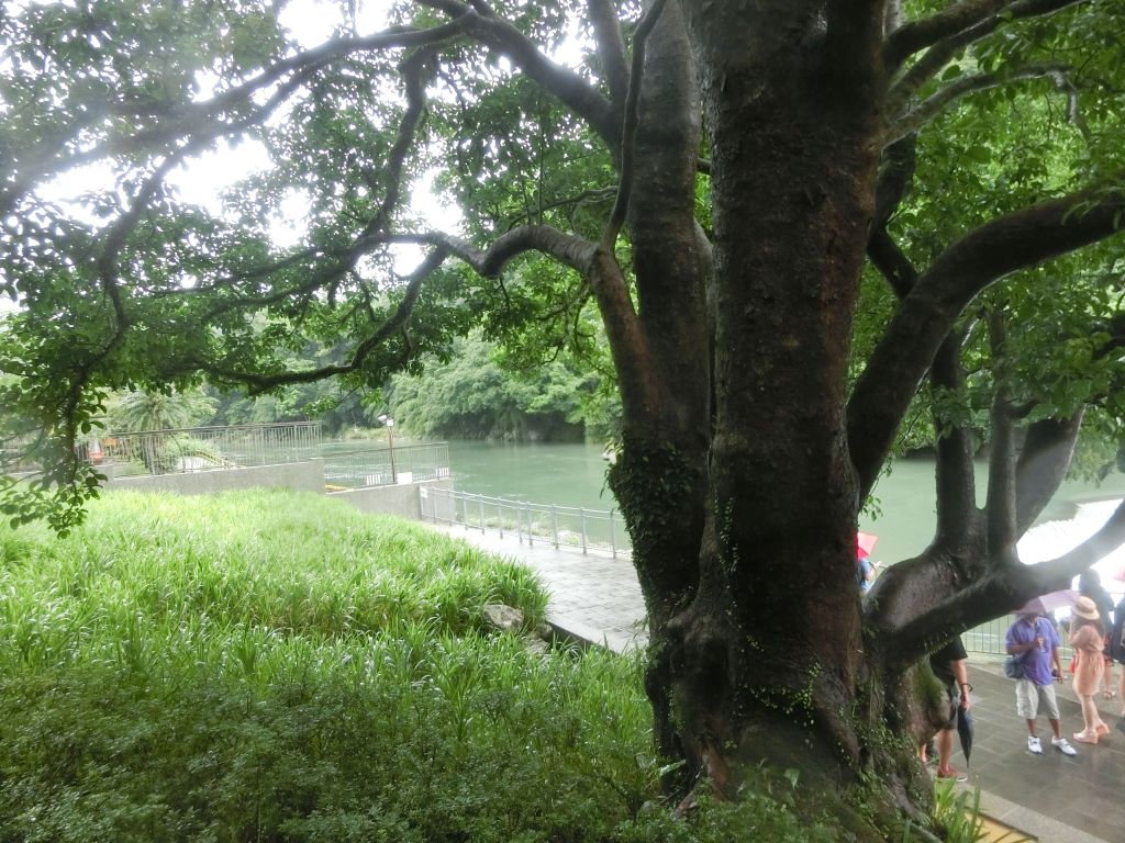 十分瀑布步道_137360