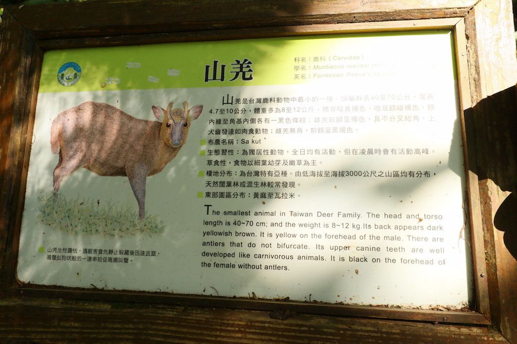 瓦拉米步道_347720