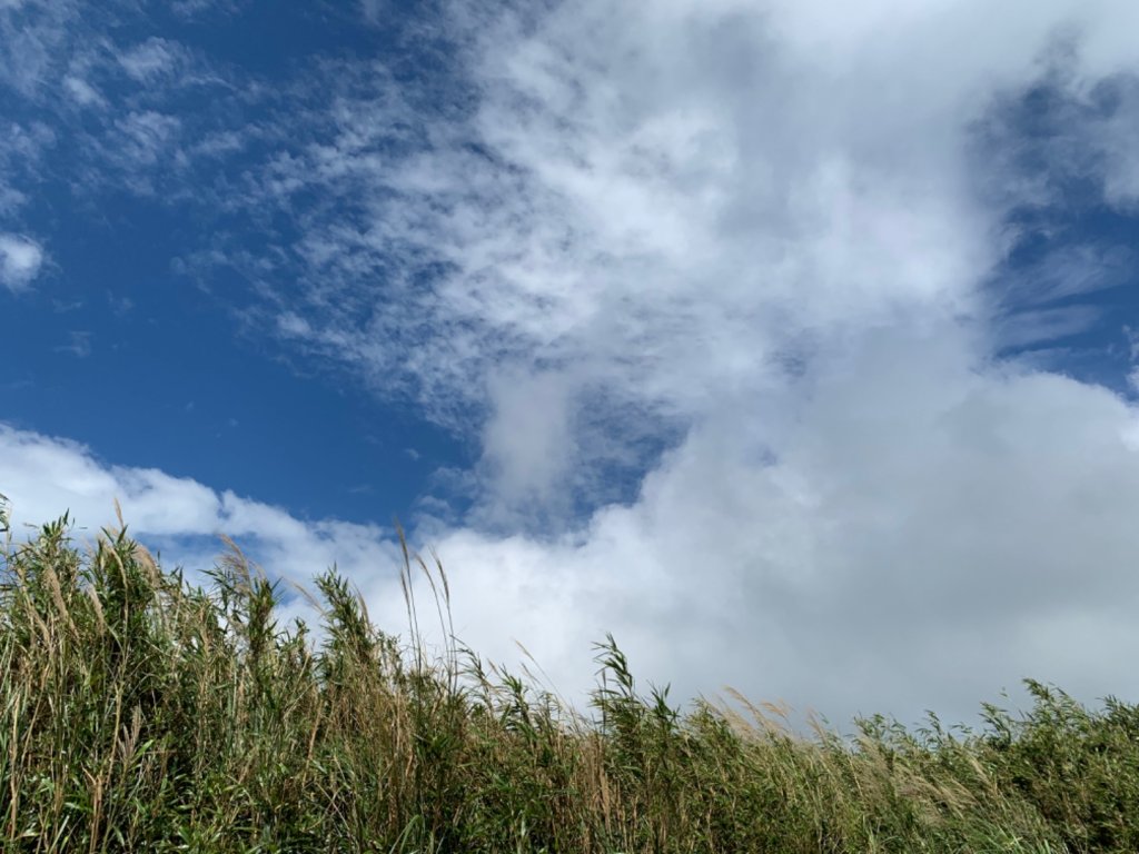 面天山向天山步道_1490835