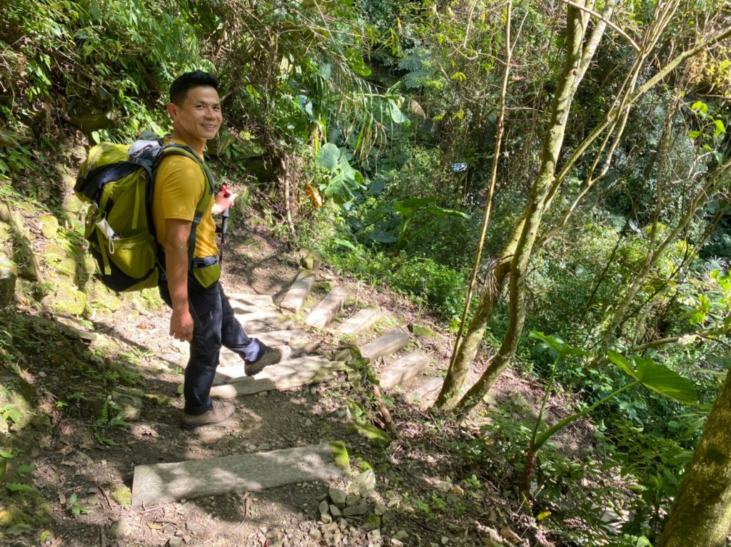 櫻之道.迷糊步道.福山古道.福山步道【全民一起瘋櫻花】_1647083