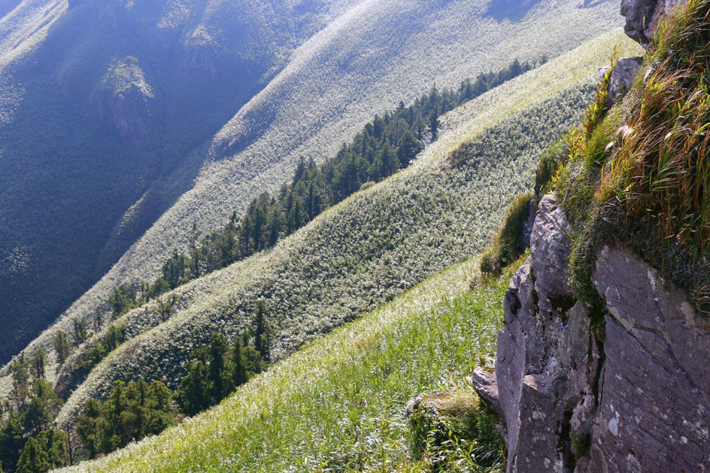 小觀音山群峰_730992