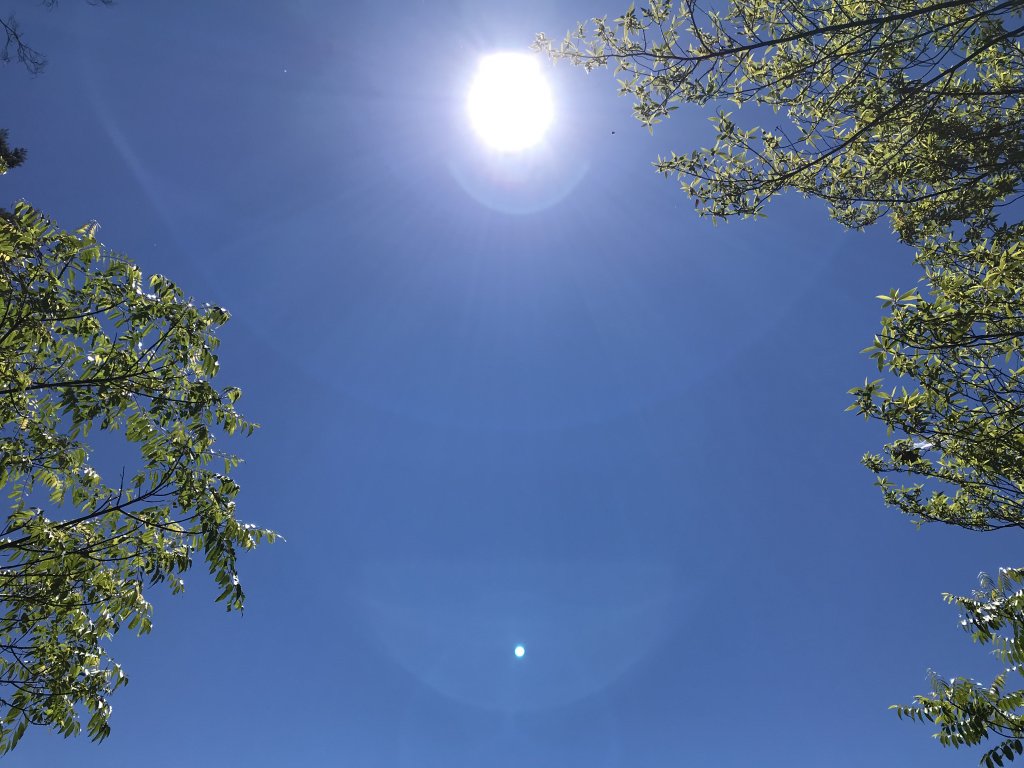 110年5月16日高雄   藤枝國家森林遊樂區_1456891