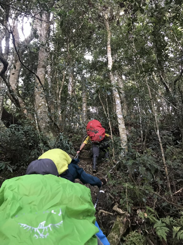 內鳥嘴山→ 那結山→ 外鳥嘴山 O形縱走_1261862