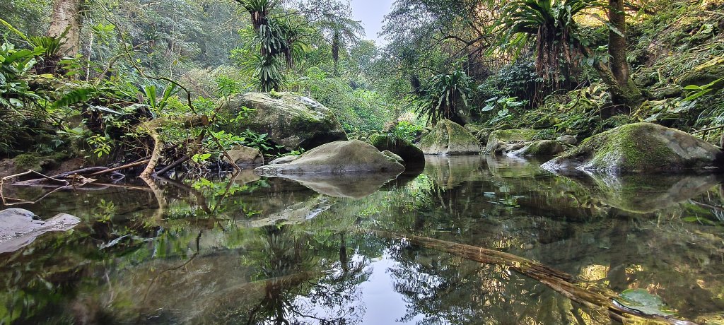 2026/02/21-馬胎古道（含二期）封面圖