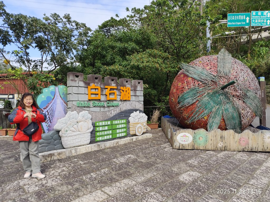 內湖碧山巖、白石湖吊橋_2942808