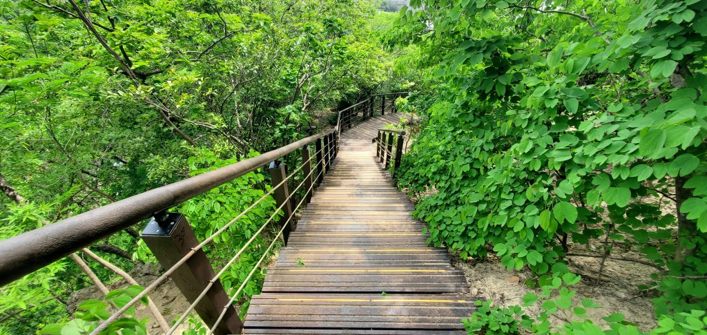 2024-05-18北柴山登山步道封面圖