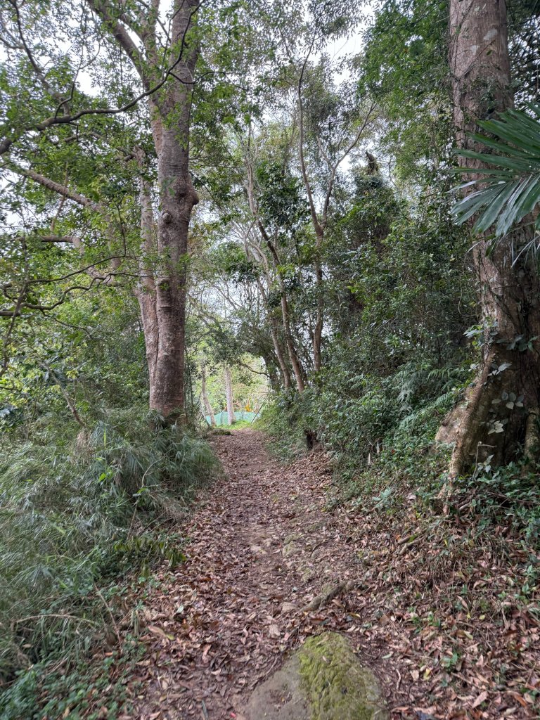 獅猿縱走_2749084