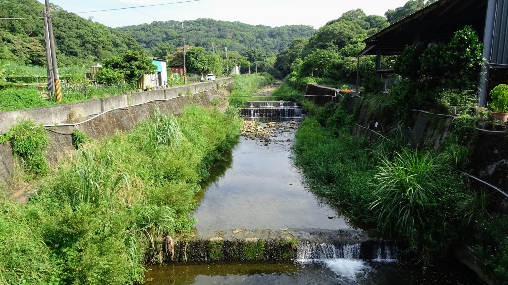 頂福巖森林步道(林口森林步道)_2283337