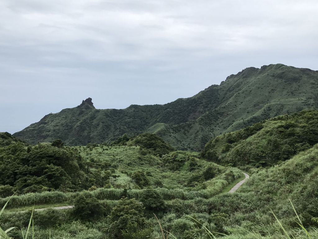 登燦光寮山環走貂山古道_131421