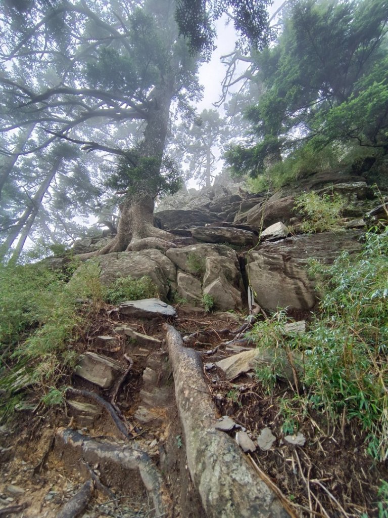 兩颱風之間空擋登屏風山巧遇保育類動物+出大景_2237960