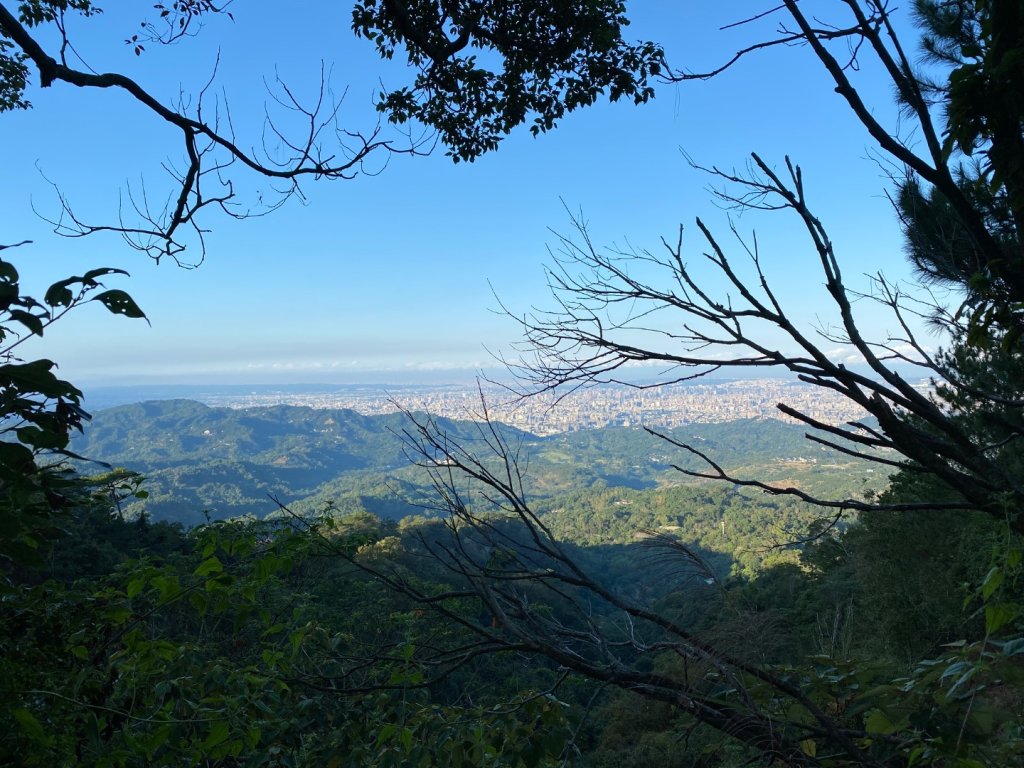 頭嵙山_2604718