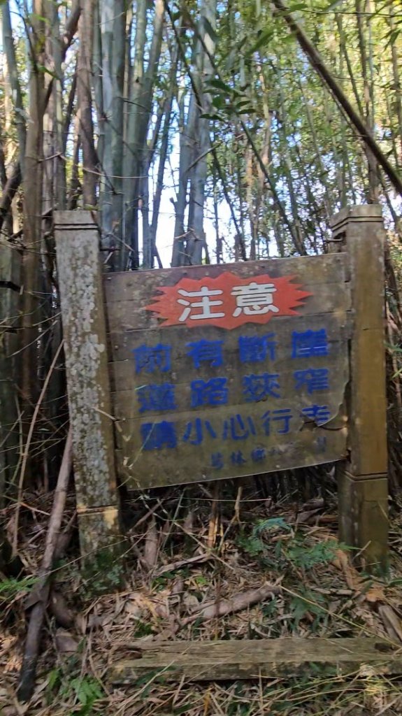 20251223芎林文林古道O走+雞寮坑山+芎林顯伯公野餐_2975928