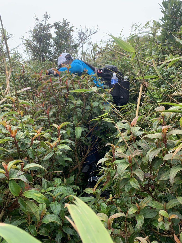 20260124屏東老佛山-老佛山南峰_2992291