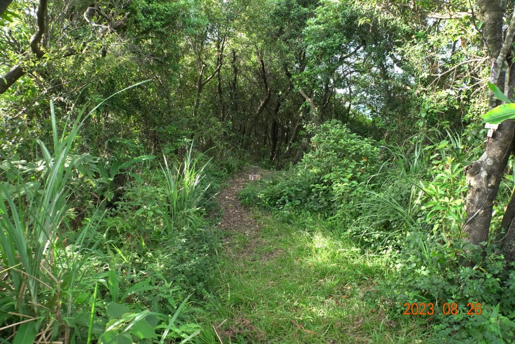 基隆 頂寮山、龍門山、五分山、頂子寮山_2265934