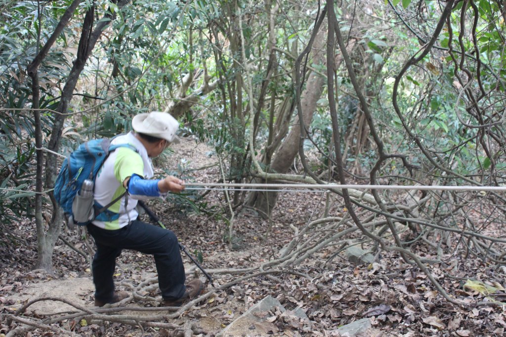 20230429高雄月茶縱走_2138537