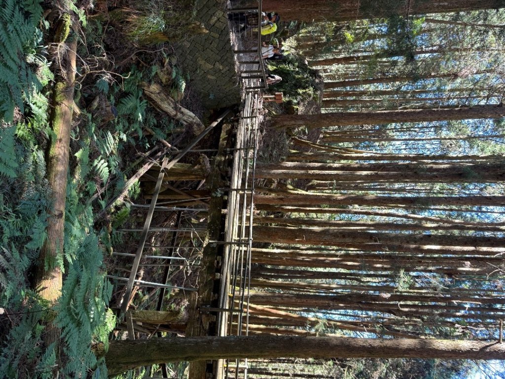 1141122特富野古道_2945865